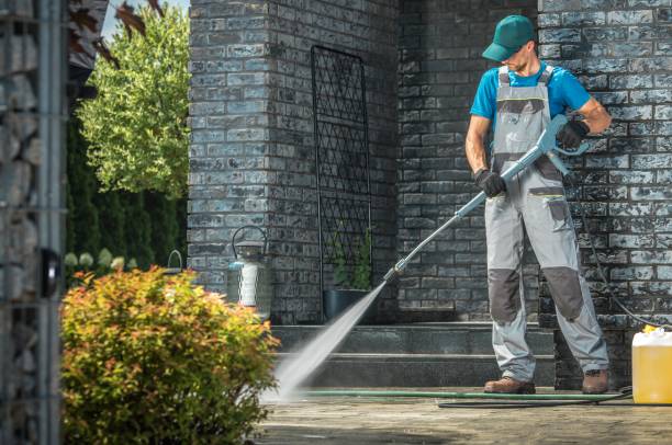 Best Soft Washing  in Tuscola, IL
